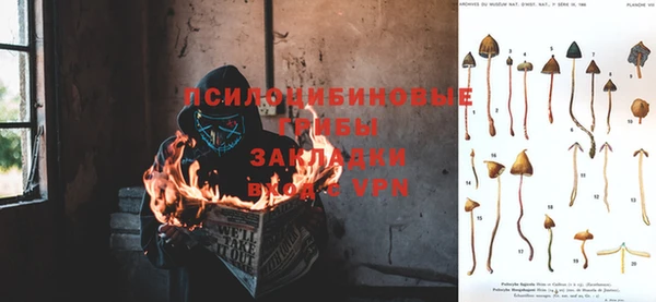 мескалин Зеленокумск