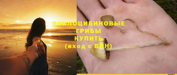 спиды Зерноград
