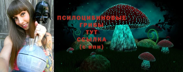 спиды Зерноград