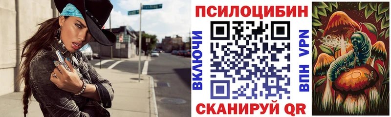 Галлюциногенные грибы мицелий  Новый Уренгой 